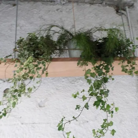 Kamara Appartement Tínos